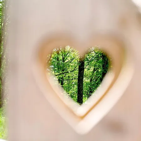 Tinyhaus 1 Vakantiehuis Schöllnach