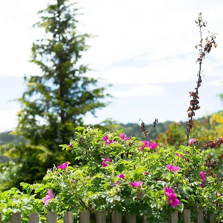 Tinyhaus 1 * Schöllnach