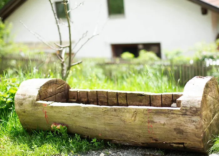 Vakantiehuis Tinyhaus 1 Schöllnach