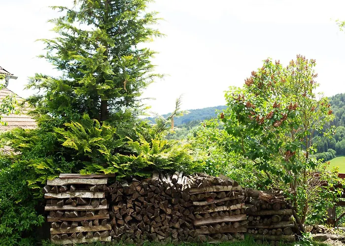 Tinyhaus 1 Schöllnach